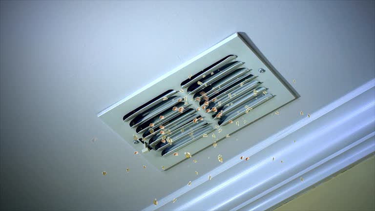 Best Residential Air Duct Cleaning  in Clyde, NC