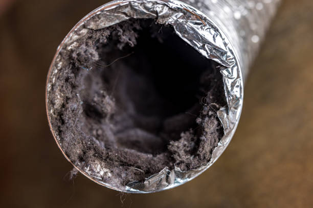 Best Ductwork Cleaning Services  in Clyde, NC