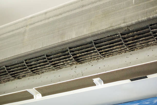 Best Affordable Duct Cleaning Services  in Clyde, NC